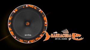 Громче чем пиранья? DL Audio Barracuda 200