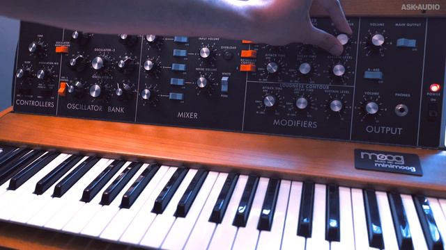 Moog Minimoog Model D Analog Synth Demo
