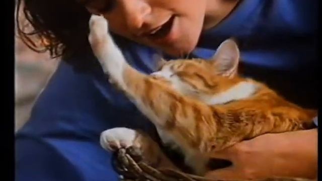 Liza Gray (and cat) Whiskas ad смотреть онлайн