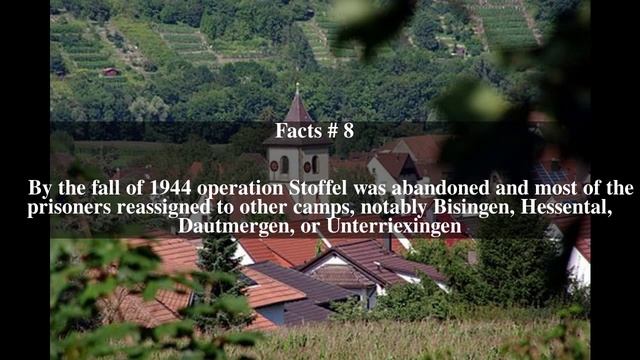 Vaihingen an der Enz concentration camp Top # 15 Facts смотреть онлайн