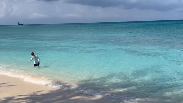 Robert Bender Family - Grand Cayman Coral Club Beach смотреть онлайн