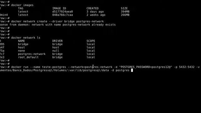 instalação do Postgresql e Pgadmin4 - Parte 1 смотреть онлайн