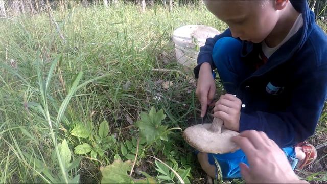 ЧТО ПРОИСХОДИТ ДОМА?,ПОКА Я НА РАБОТЕ #latvia #жизньвдеревне смотреть онлайн