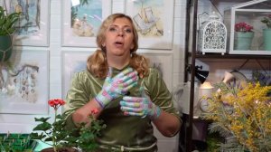 Удобрения "Акварин" для декоративных культур.