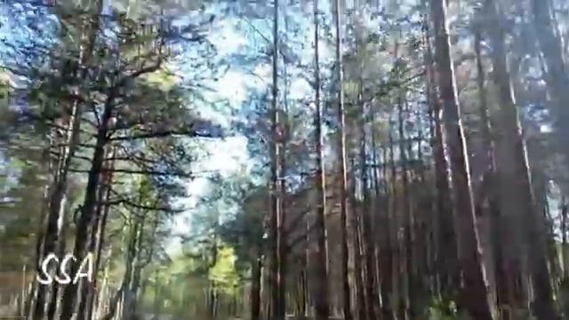 это Ягры, остров Ягры смотреть онлайн