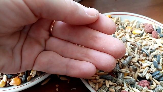 Сравниваем корм для крыс Little One, Happy Jungle, Хомка - лакомка и Любимчик. Крысята меня подвели смотреть онлайн