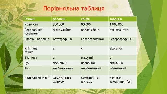 Основні відмінності тварин від рослин та грибів смотреть онлайн
