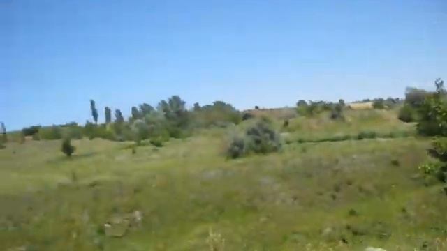 Коп 2020. Поиск монет по лугам и оврагам. ACE250(MD6250).