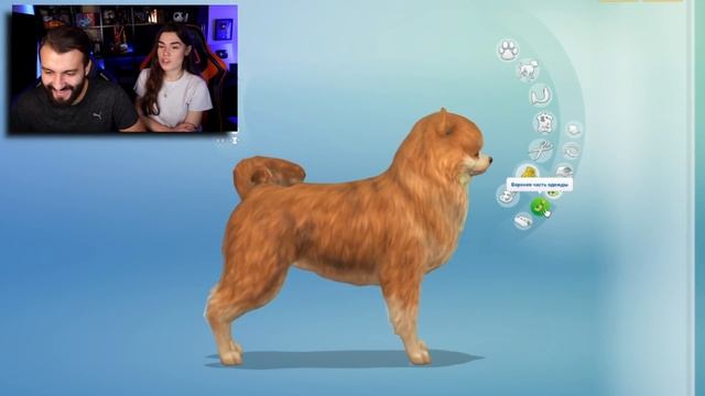 КУПИЛИ СОБАКУ И РАЗЪЕХАЛИСЬ | SIMS 4 смотреть онлайн