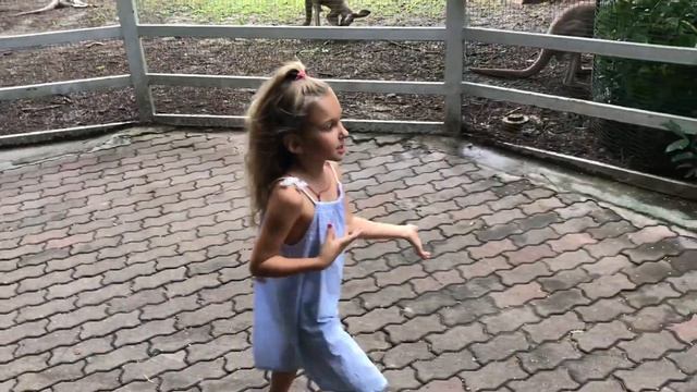 Зоопарк Бангкока – Safari World и Marine Park Bangkok смотреть онлайн