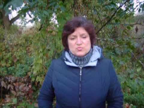 Отзыв Натальи Трофимовой о программе Александры Бониной "Утренняя зарядка за 10 минут" смотреть онлайн