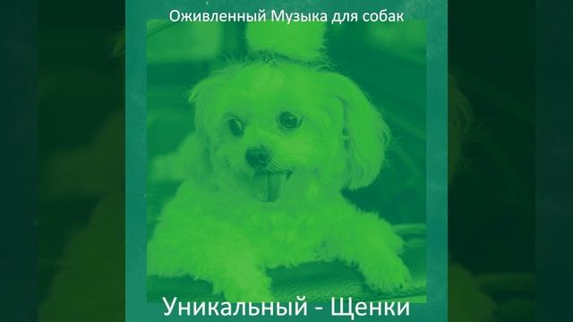 Музыка (Тихие щенки) смотреть онлайн