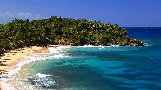 Видео природы - 8 часов HD! Звуки природы! Дикая природа! РЕЛАКС! смотреть онлайн