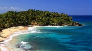 Видео природы - 8 часов HD! Звуки природы! Дикая природа! РЕЛАКС!