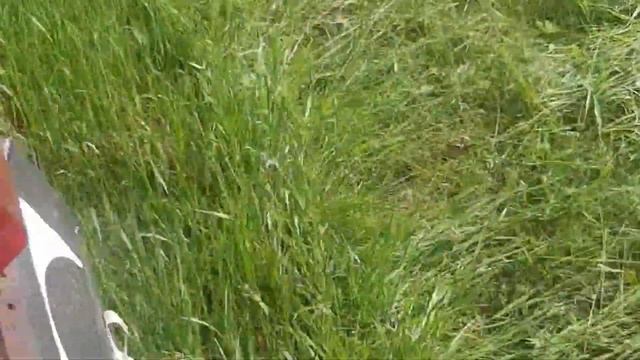 Косим сено. Косим на т25. Сенокос 2023 смотреть онлайн