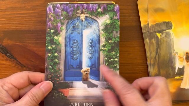 The Oracle of Portals | Full Flip Through of Each Card смотреть онлайн