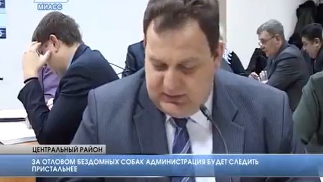 За отловом бездомных собак администрация будет следить пристальнее смотреть онлайн