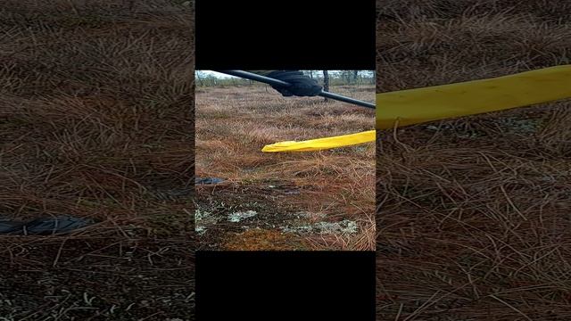 сбор клюквы шваброй www.sbor-yagod.ru смотреть онлайн