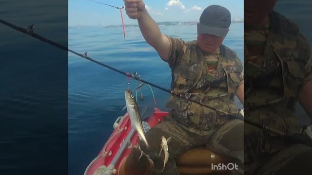 Рыбалка на камболу и минтай на Щитовой, Владивосток,22.06.2018г. смотреть онлайн