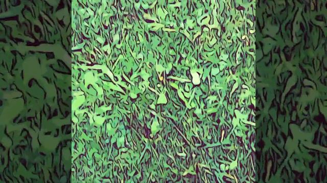 Лето пришло смотреть онлайн