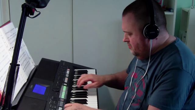 Moves Like Jagger   PSR S650