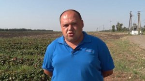 "ЭКОСС" - Органические удобрения