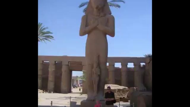 Squirt's Egyptian Adventure.mov смотреть онлайн