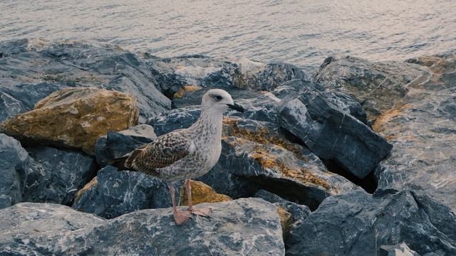 ISTANBUL/ FUJIFILM X-T30 смотреть онлайн