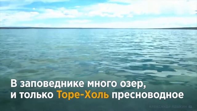 Убсунурская котловина смотреть онлайн