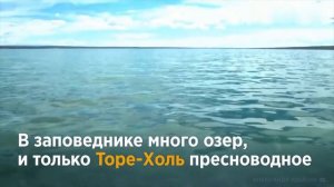 Убсунурская котловина