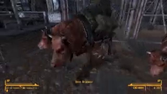 Fallout New Vegas Mods:RTS, Motorcycle, Tailor Maid - Part 1 смотреть онлайн