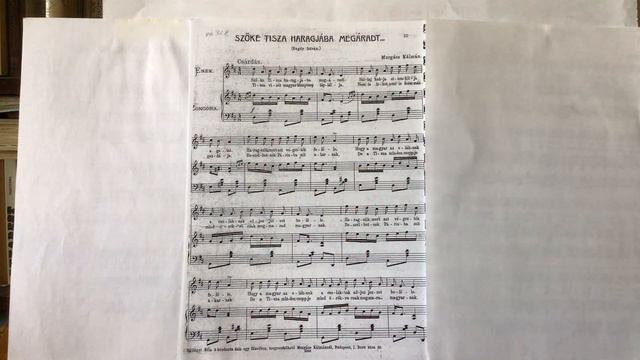 Dr. jur. Bene Ferenc Tárogató: Bagdy István/Murgács Kálmán: Szőke Tisza haragjában megárad. смотреть онлайн