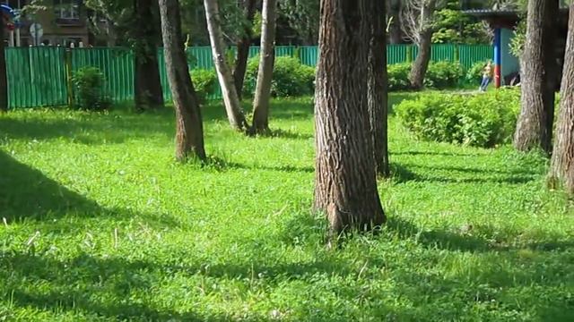 Родительский день. Санаторий №9. Радость и слезы. смотреть онлайн