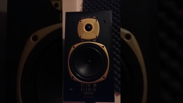 Tannoy eclipse gold .amplifire rotel 312 vintage смотреть онлайн