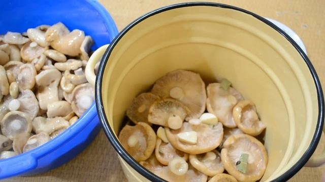 Уроки Пения и Вокала