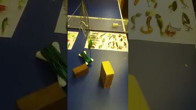 ОТЦЕП.РФ Отцеп для воблеров 170гр "Метелка" смотреть онлайн