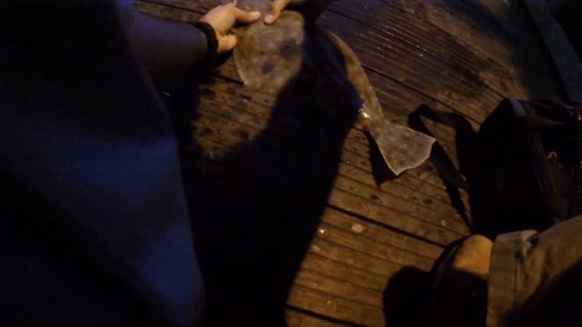 Pre & Post STORM Fluke / Flounder Fishing w. GULP & LIVE Peanut Bunker Bait смотреть онлайн
