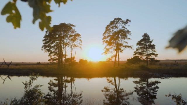 11 Октября Харитонов День.День Опасный.Народные Приметы на Руси.Народный Календарь.Обряды.Ритуалы. смотреть онлайн