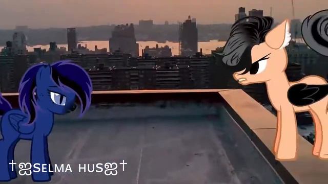 Pony Meme| Только я тут босс| H.B †Fallen Angel† смотреть онлайн