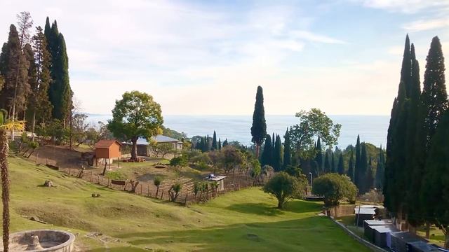 Новый Афон, средиземноморские красоты, Корсика, Сардиния, оливки, греческие красоты, это Абхазия смотреть онлайн