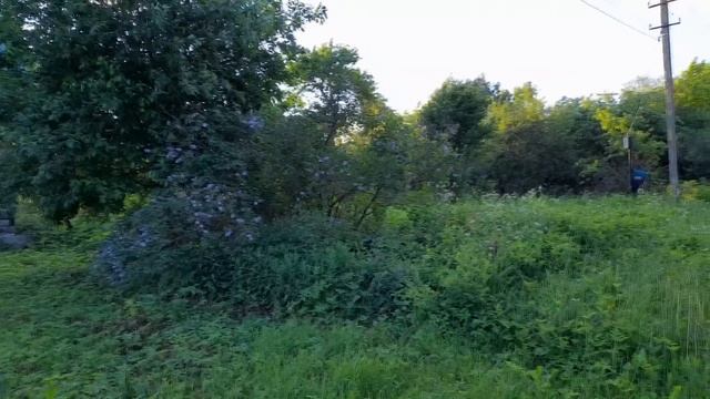 Продается земля на Лесной в Берново Тверской области. Жить в деревне. смотреть онлайн