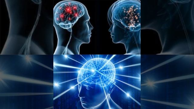 Эргономичные столы Ergometric с электрической регулировкой высоты смотреть онлайн