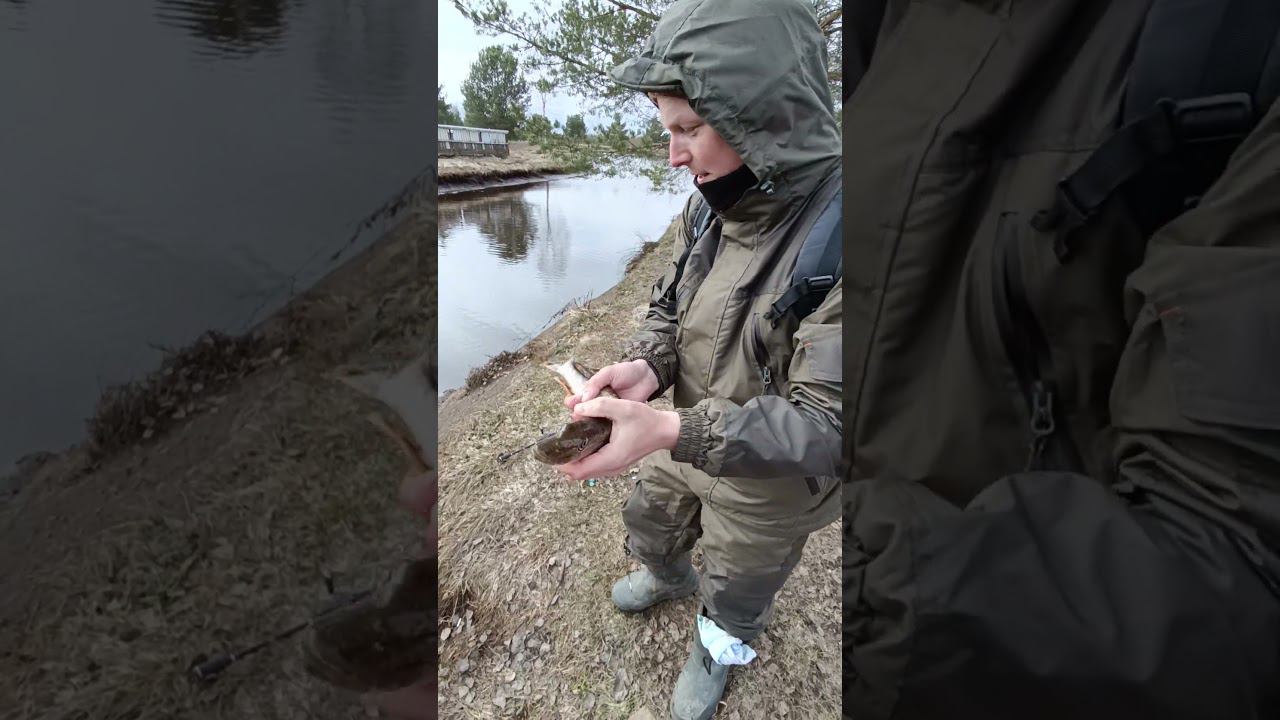Рыбалка на спиннинг на платном водоеме.Отпускаем щуку. #shortvideo #рыбалка #fishingvideo #fishing смотреть онлайн