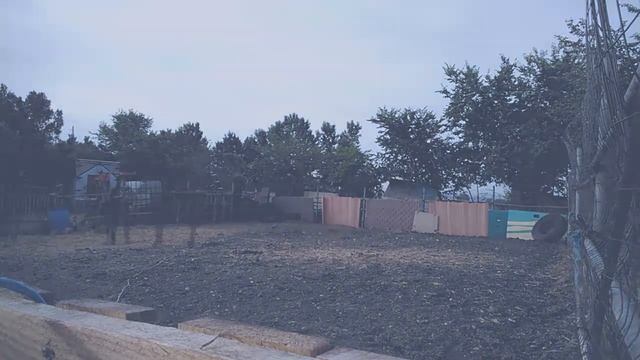 Поймать и одеть недоуздок на дикую ЛОШАДЬ ✅ смотреть онлайн