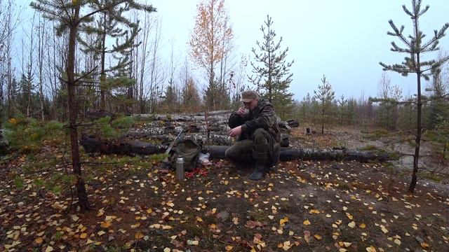 Прелести охоты на боровую дичь 2018 смотреть онлайн