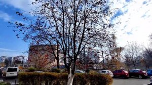 Весело с внучками !