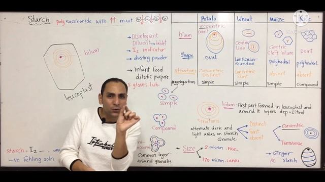 Cell contents part 1 (clinical botany) смотреть онлайн