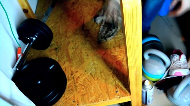 ? УБОРКА в кладовке (ПРОДОЛЖЕНИЕ) ? МОТИВАЦИЯ на уборку! смотреть онлайн