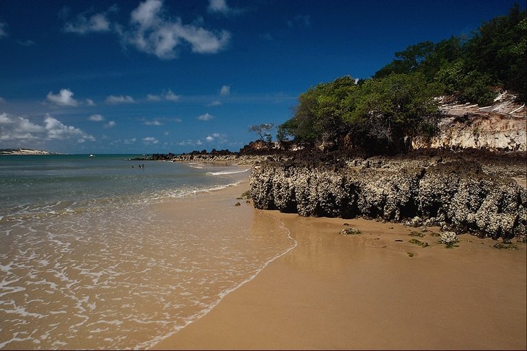 Пять языков любви