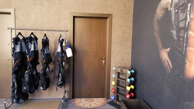 EMS тренировки 2019 Лето смотреть онлайн